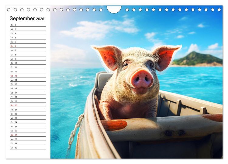 Produktbild: Schweinereien in der Karibik. Sonne und Spa&szlig; mit schwimmenden Schweinen (Wandkalender 2026 DIN A4 quer), CALVENDO Monatskalender