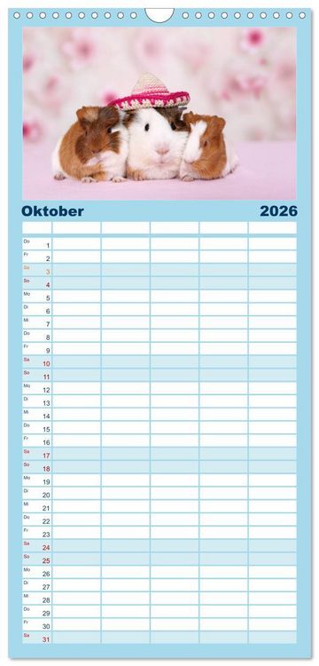 Produktbild: Familienplaner 2026 - Niedliche Meerschweinchen mit 5 Spalten (Wandkalender, 21 x 45 cm) CALVENDO
