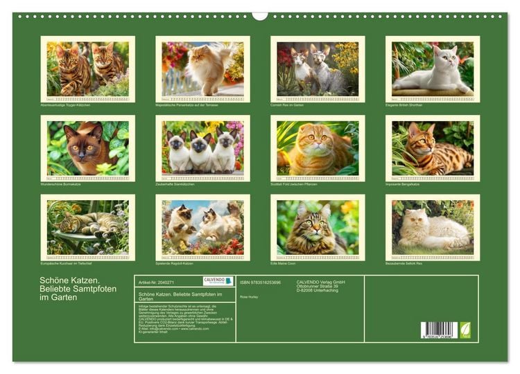 Produktbild: Sch&ouml;ne Katzen. Beliebte Samtpfoten im Garten (Wandkalender 2026 DIN A2 quer), CALVENDO Monatskalender