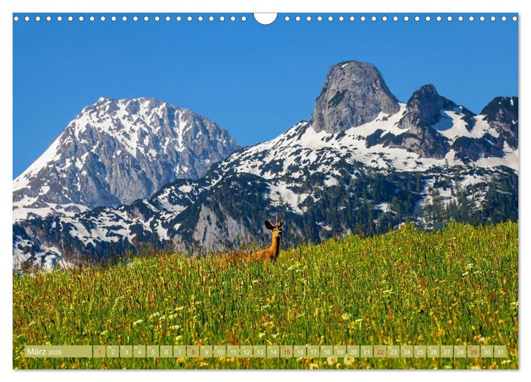 Produktbild: Waidmannsheil und Waidmannsdank (Wandkalender 2026 DIN A3 quer), CALVENDO Monatskalender