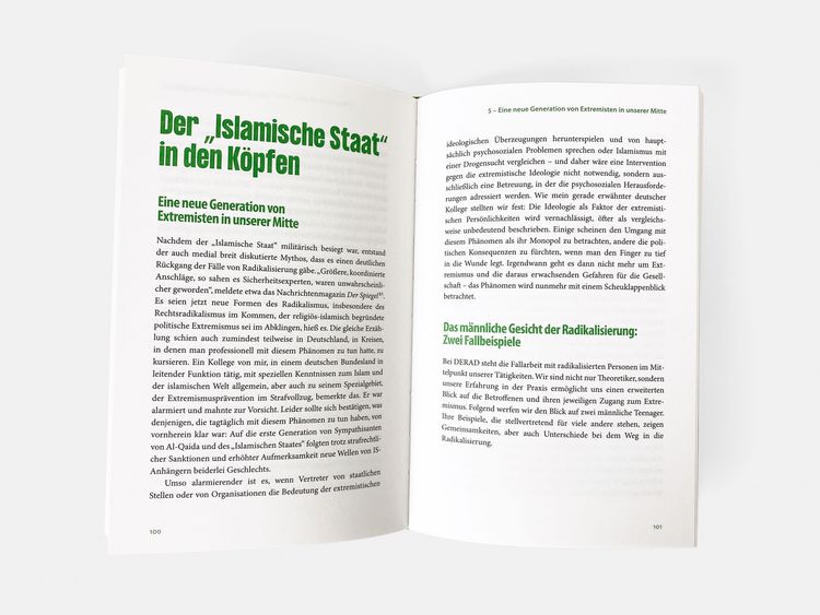 Produktbild: Die Radikalisierten