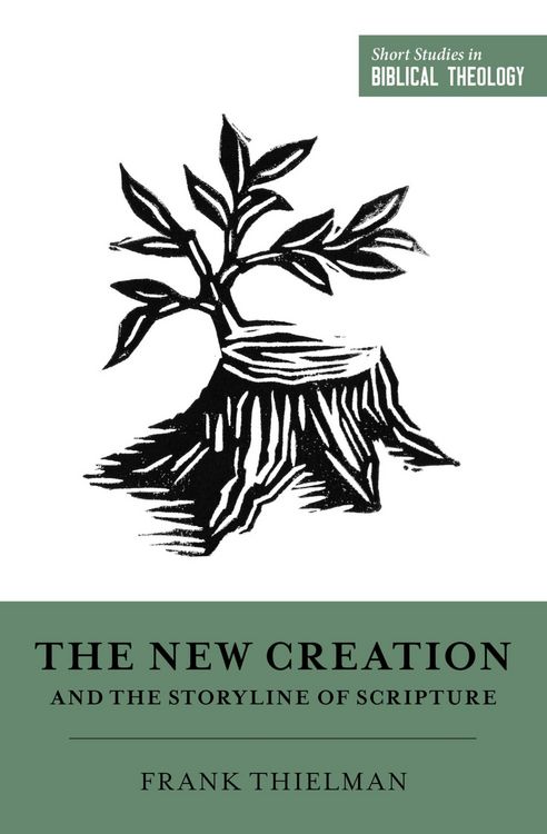 Produktbild: The New Creation and the Storyline of Scripture