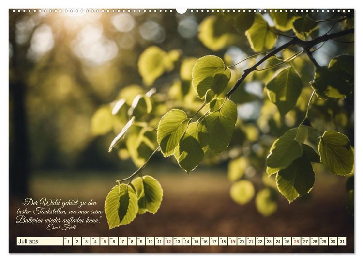 Produktbild: Waldbaden - Shinrin Yoku (hochwertiger Premium Wandkalender 2026 DIN A2 quer), Kunstdruck in Hochglanz