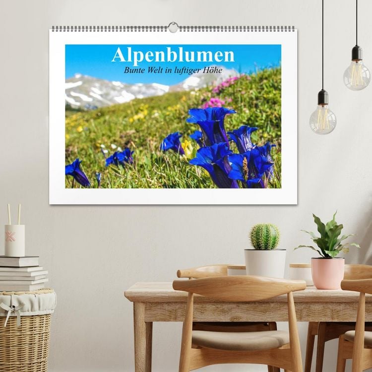 Produktbild: Alpenblumen. Bunte Welt in luftiger H&ouml;he (Wandkalender 2026 DIN A2 quer), CALVENDO Monatskalender
