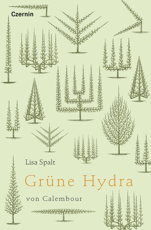 Produktbild: Grüne Hydra von Calembour
