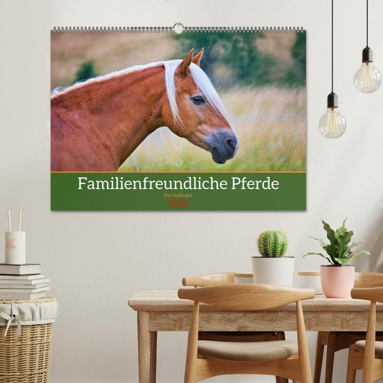 Produktbild: Familienfreundliche Pferde (Wandkalender 2026 DIN A2 quer), CALVENDO Monatskalender