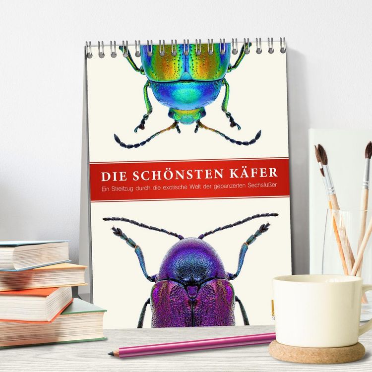 Produktbild: Die sch&ouml;nsten K&auml;fer (Tischkalender 2026 DIN A5 hoch), CALVENDO Monatskalender