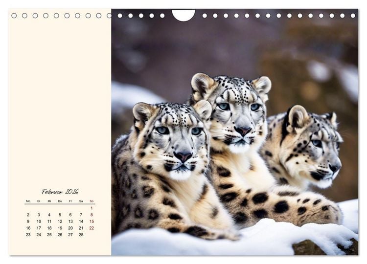 Produktbild: Im Reich der Schneeleoparden (Wandkalender 2026 DIN A4 quer), CALVENDO Monatskalender