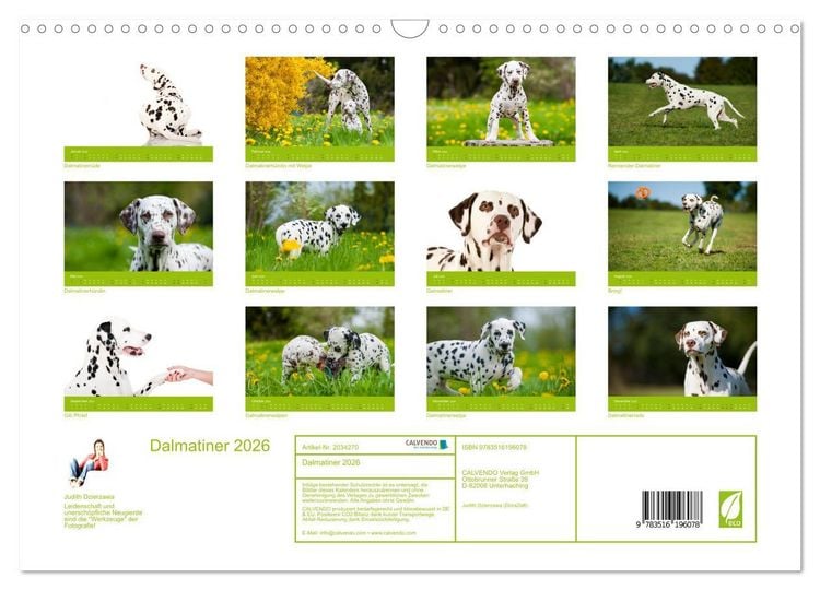 Produktbild: Dalmatiner 2026 (Wandkalender 2026 DIN A3 quer), CALVENDO Monatskalender