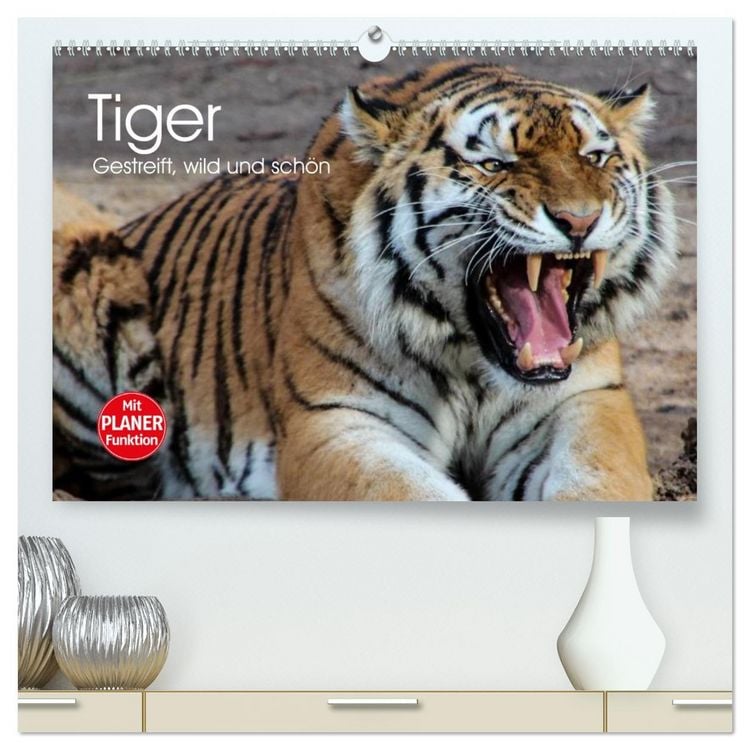 Produktbild: Tiger. Gestreift, wild und sch&ouml;n (hochwertiger Premium Wandkalender 2026 DIN A2 quer), Kunstdruck in Hochglanz