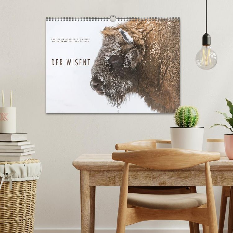 Produktbild: Emotionale Momente: Der Wisent. (Wandkalender 2026 DIN A3 quer), CALVENDO Monatskalender