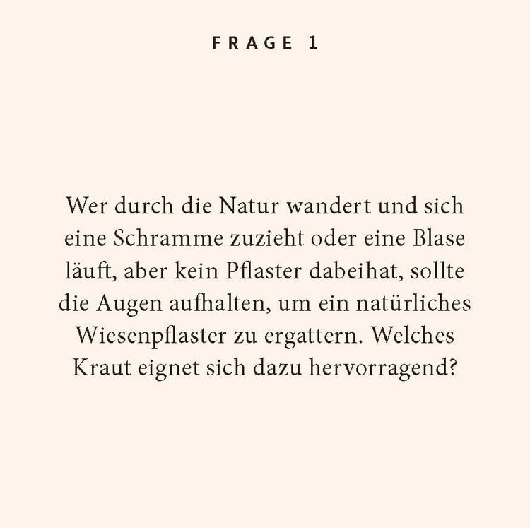 Produktbild: Kr&auml;uter-Quiz