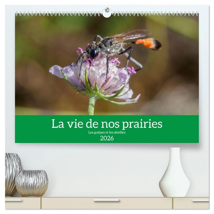Produktbild: La vie de nos prairies - Les gu&ecirc;pes et les abeilles (Calendrier mural 2026 DIN A2 vertical) calendrier de bureau