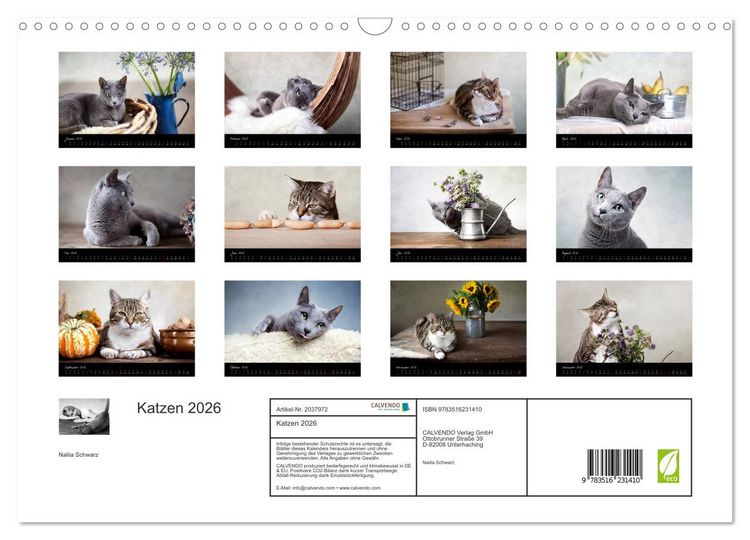 Produktbild: Katzen 2026 (Wandkalender 2026 DIN A3 quer), CALVENDO Monatskalender