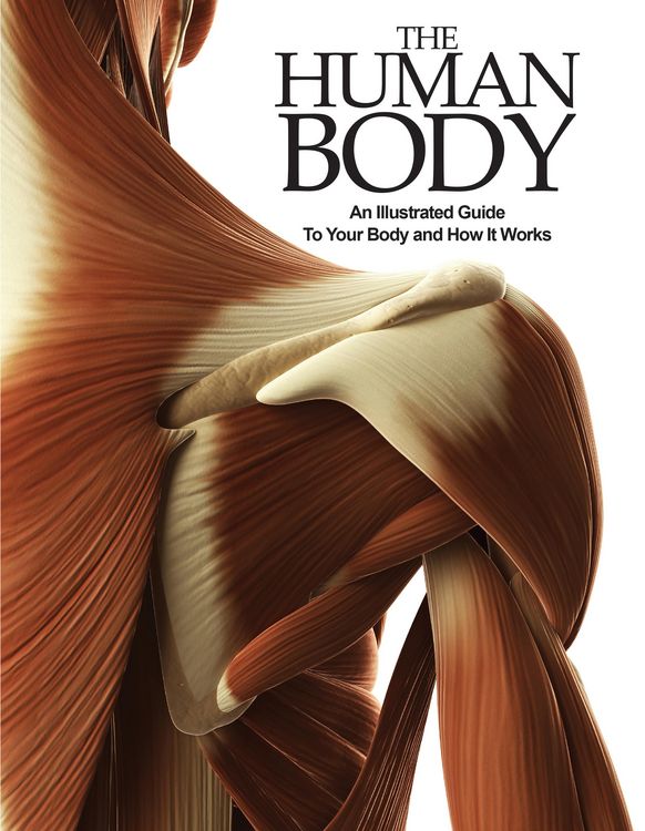 Produktbild: The Human Body