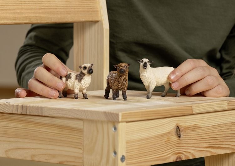 Produktbild: schleich&reg; Farm World Schaffreunde