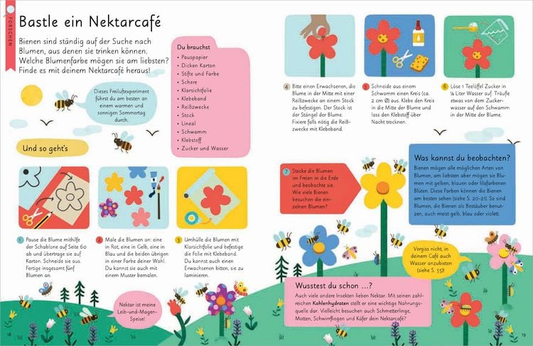 Produktbild: Kennst du die Natur? - Bienen. Das Aktiv- und Wissensbuch f&uuml;r Kinder ab 7 Jahren
