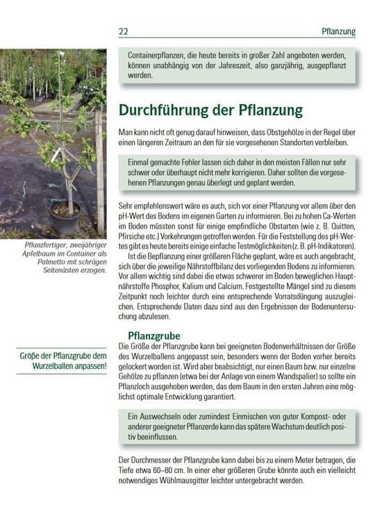Produktbild: Spalierobst f&uuml;r Mauer, Hecke, Pergola...