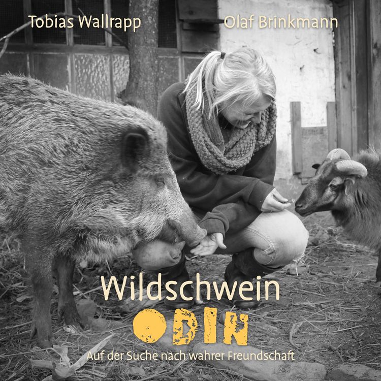 Produktbild: Wildschwein Odin
