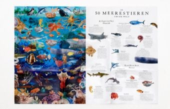 Produktbild: In 50 Meerestieren um die Welt