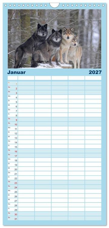 Produktbild: Familienplaner 2027 - Kanadische W&ouml;lfe im Winter mit 5 Spalten (Wandkalender, 21 x 45 cm) CALVENDO