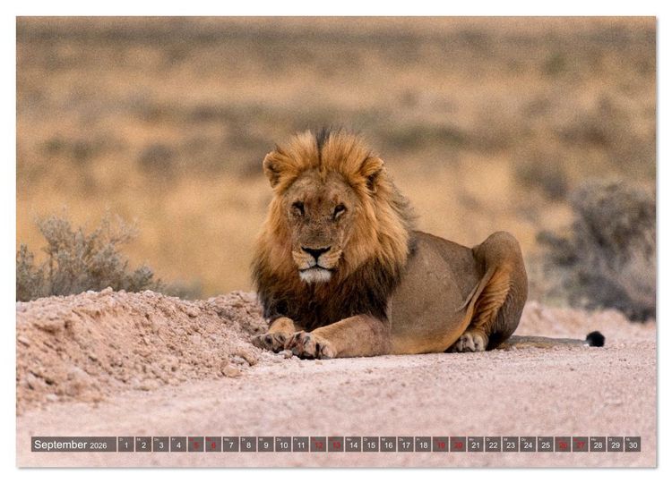Produktbild: Namibia und Botswana - Entdeckungen in der Weite Afrikas (Wandkalender 2026 DIN A3 quer), CALVENDO Monatskalender