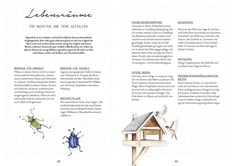 Produktbild: Bienengl&uuml;ck im Garten &ndash; Das illustrierte Gartenbuch