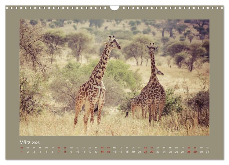 Produktbild: Tansania - Mensch, Tier und Landschaft (Wandkalender 2026 DIN A3 quer), CALVENDO Monatskalender