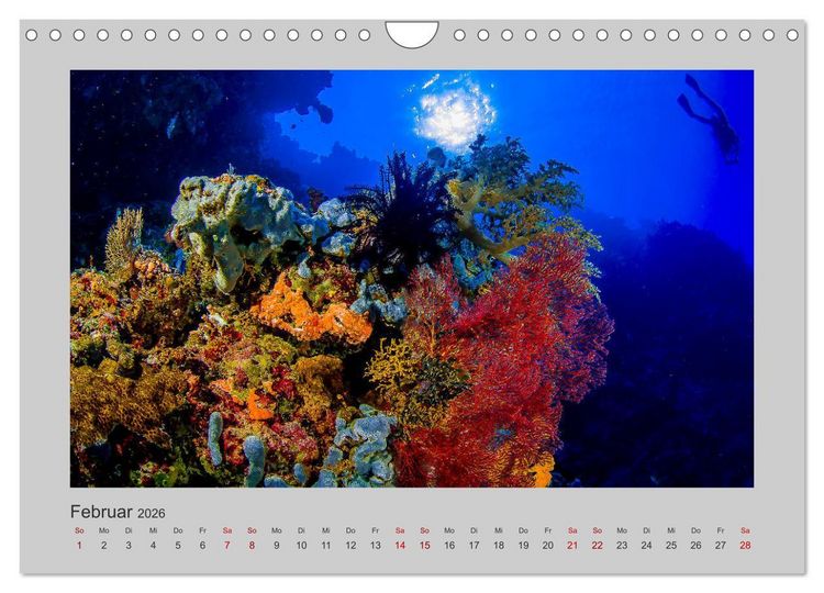 Produktbild: Korallen-Riffe Tauchertr&auml;ume (Wandkalender 2026 DIN A4 quer), CALVENDO Monatskalender
