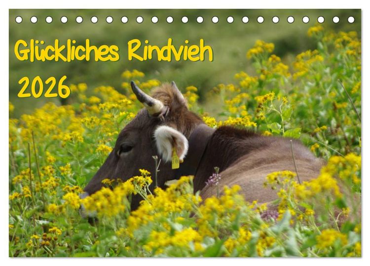 Produktbild: Gl&uuml;ckliches Rindvieh 2026 (Tischkalender 2026 DIN A5 quer), CALVENDO Monatskalender