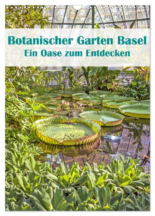 Produktbild: Botanischer Garten Basel - Eine Oase zum Entdecken (Wandkalender 2026 DIN A3 hoch), CALVENDO Monatskalender