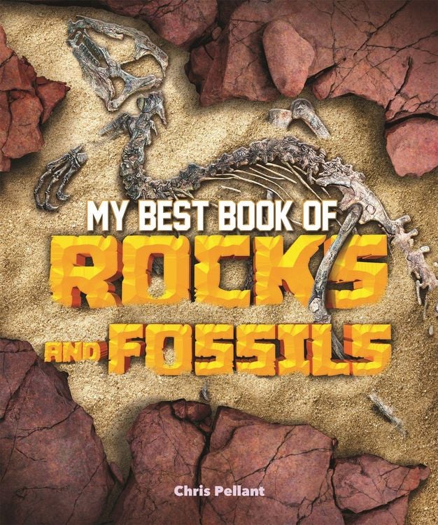 Produktbild: My Best Book of Rocks and Fossils