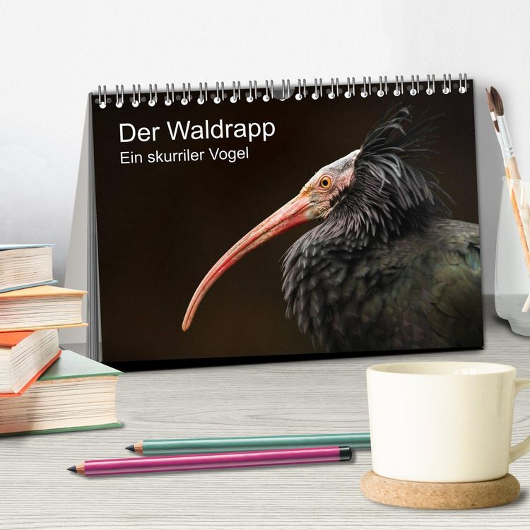 Produktbild: Der Waldrapp - Ein skurriler Vogel (Tischkalender 2026 DIN A5 quer), CALVENDO Monatskalender