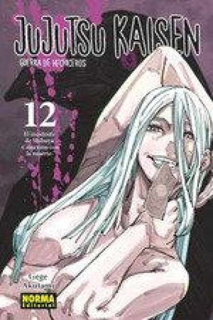 Produktbild: Jujutsu Kaisen 12