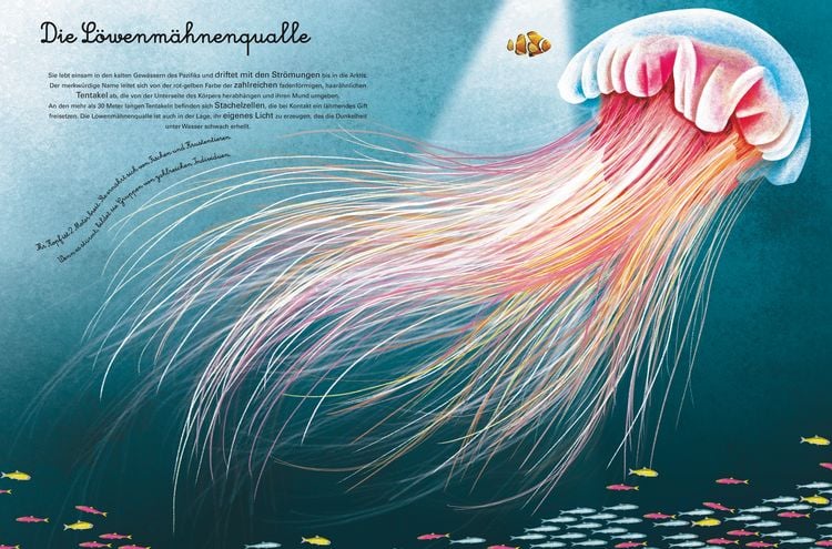Produktbild: Das gro&beta;e Buch der Seetiere. Das kleine Buch der Seetiere