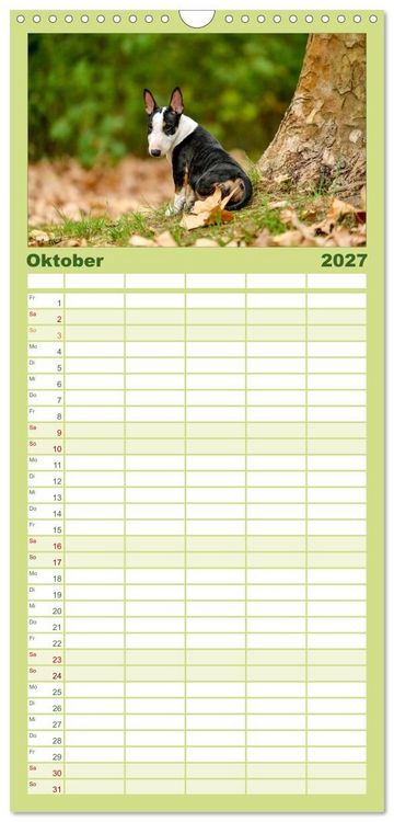 Produktbild: Familienplaner 2027 - Einmal Bullterrier - immer Bullterrier mit 5 Spalten (Wandkalender, 21 x 45 cm) CALVENDO