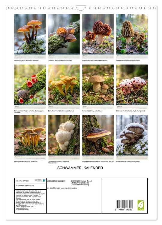 Produktbild: SCHWAMMERLKALENDER (Wandkalender 2027 DIN A3 hoch), CALVENDO Monatskalender