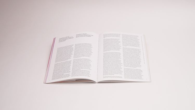 Produktbild: Nicola Staeglich &ndash; Farbe schwebend / Color floating