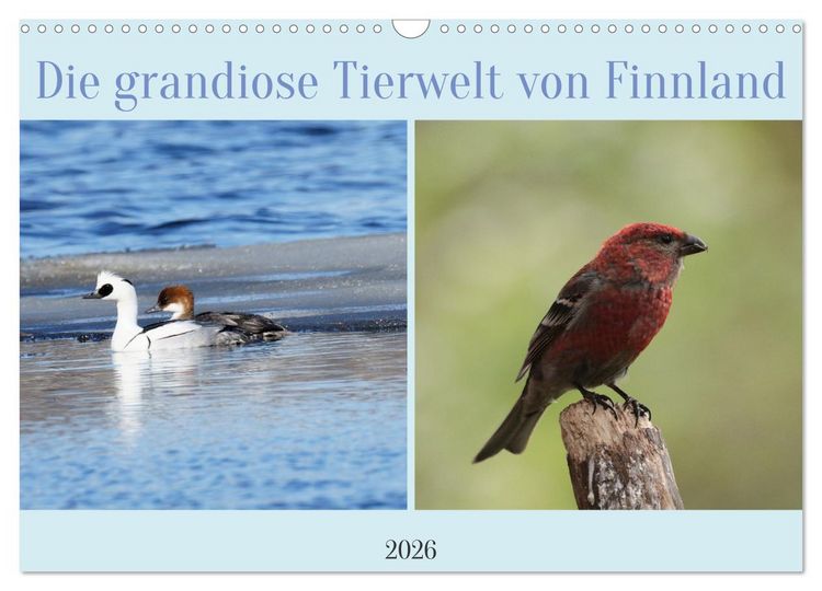 Produktbild: Die grandiose Tierwelt von Finnland (Wandkalender 2026 DIN A3 quer), CALVENDO Monatskalender