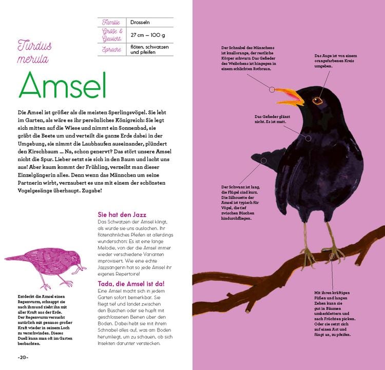 Produktbild: Magie der V&ouml;gel