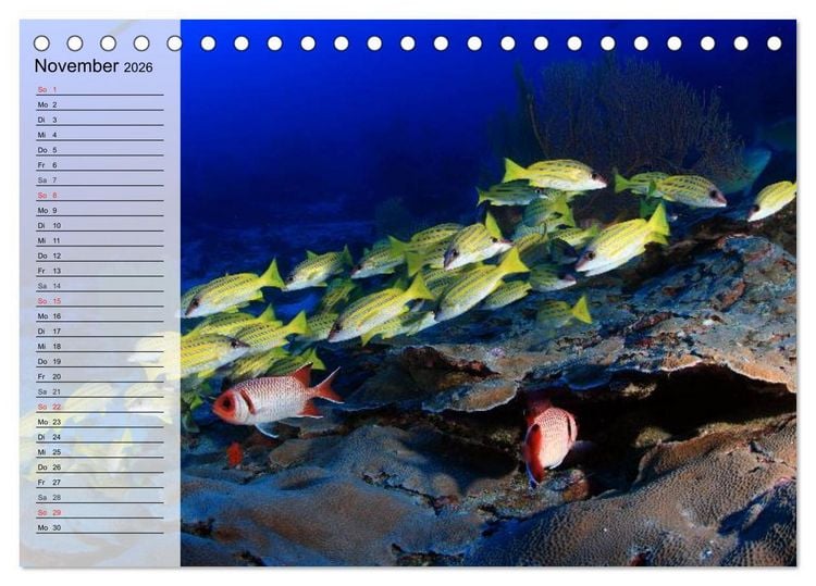 Produktbild: Paradiese im ewigen Blau. Die bunte Unterwasserwelt (Tischkalender 2026 DIN A5 quer), CALVENDO Monatskalender