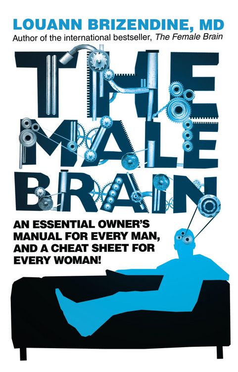 Produktbild: The Male Brain
