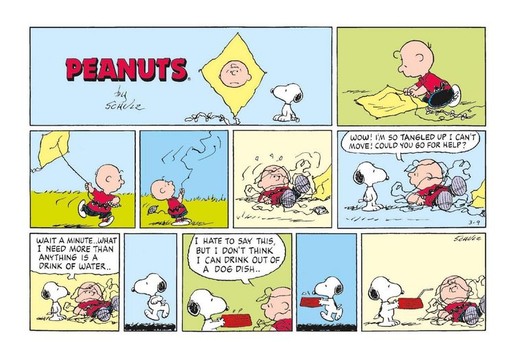 Produktbild: Peanuts
