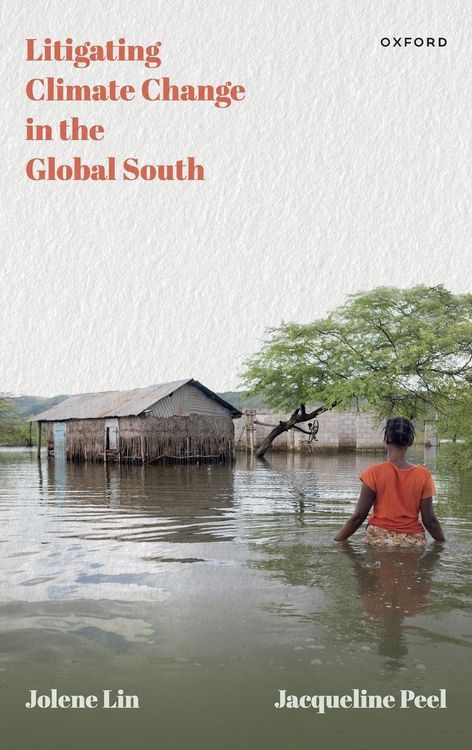 Produktbild: Litigating Climate Change in the Global South