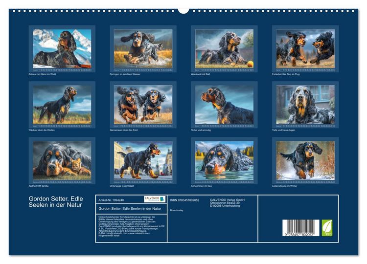 Produktbild: Gordon Setter. Edle Seelen in der Natur (hochwertiger Premium Wandkalender 2026 DIN A2 quer), Kunstdruck in Hochglanz