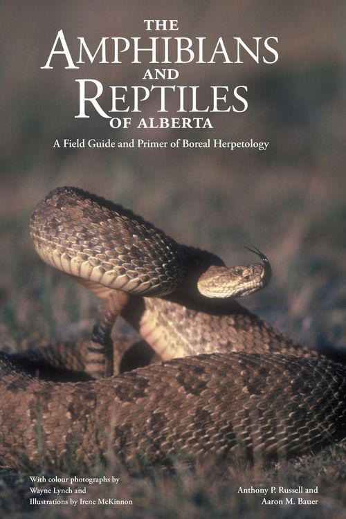 Produktbild: Amphibians and Reptiles of Alberta (New)