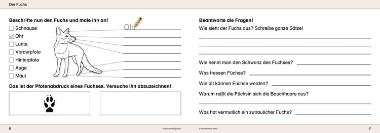 Produktbild: Ich kenne Waldtiere - Sch&uuml;lerarbeitsheft f&uuml;r die 2. bis 4. Klasse