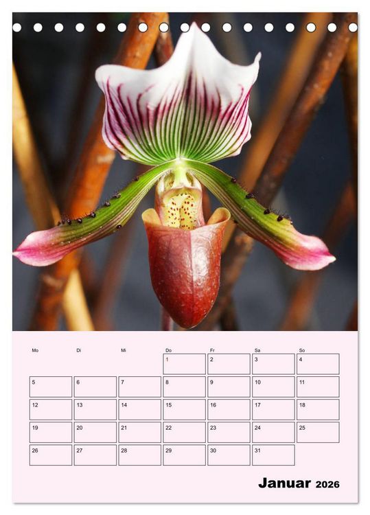 Produktbild: Orchideenliebe (Tischkalender 2026 DIN A5 hoch), CALVENDO Monatskalender