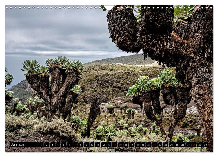 Produktbild: Kilimanjaro - das Dach Afrikas (Wandkalender 2026 DIN A3 quer), CALVENDO Monatskalender