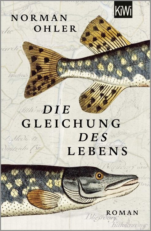 Produktbild: Die Gleichung des Lebens